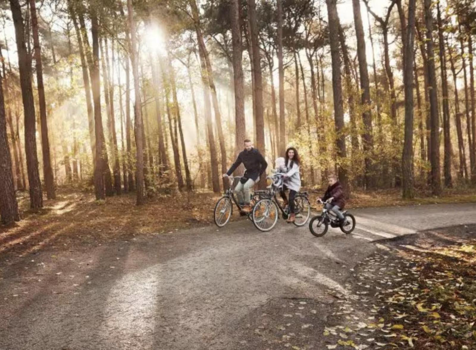 Glamping Lodge With Eco-Wellness เซโวลเดอ ภายนอก รูปภาพ