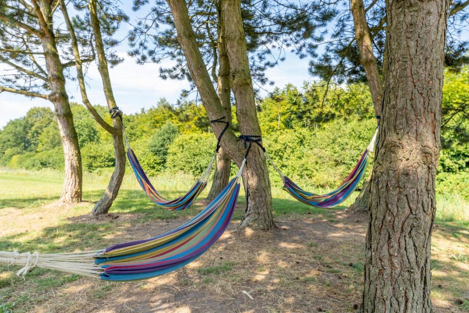 Glamping Lodge With Eco-Wellness เซโวลเดอ ภายนอก รูปภาพ